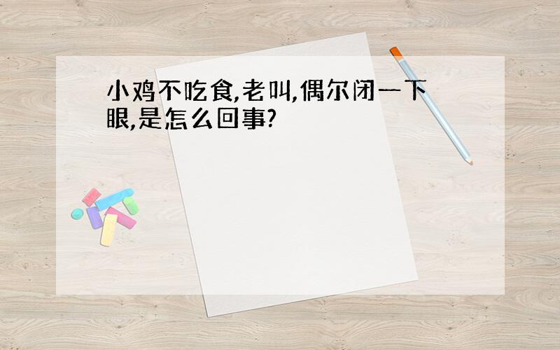 小鸡不吃食,老叫,偶尔闭一下眼,是怎么回事?