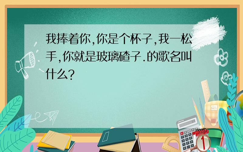 我捧着你,你是个杯子,我一松手,你就是玻璃碴子.的歌名叫什么?