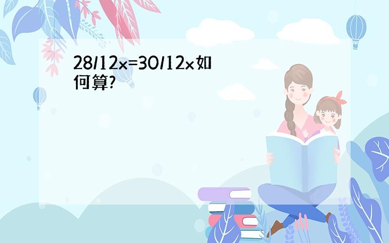 28/12x=30/12x如何算?