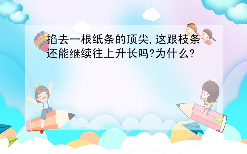 掐去一根纸条的顶尖,这跟枝条还能继续往上升长吗?为什么?