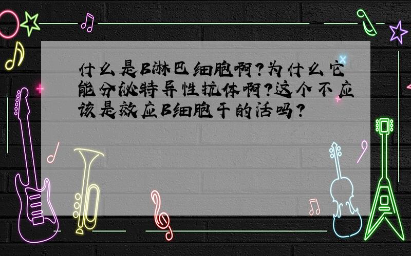 什么是B淋巴细胞啊?为什么它能分泌特异性抗体啊?这个不应该是效应B细胞干的活吗?