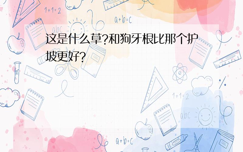 这是什么草?和狗牙根比那个护坡更好?