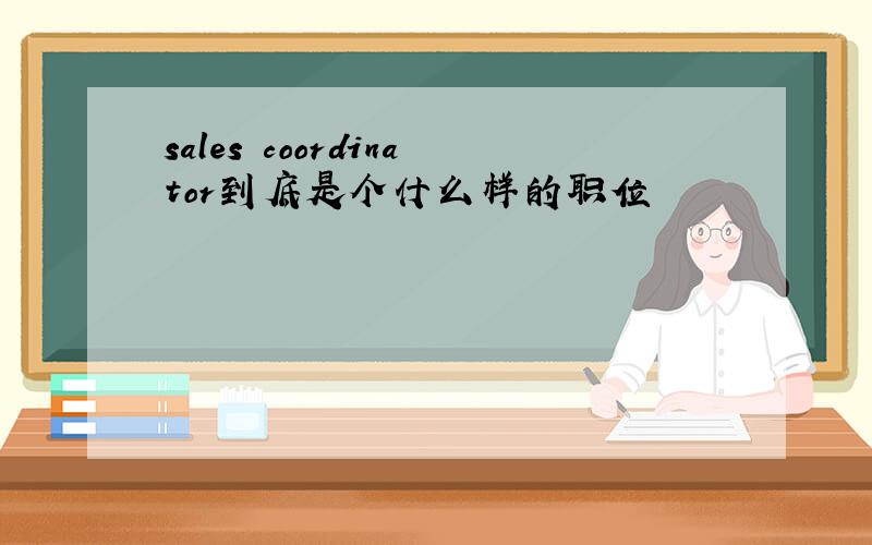 sales coordinator到底是个什么样的职位