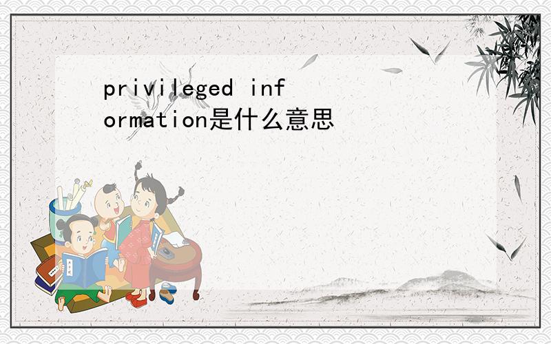 privileged information是什么意思