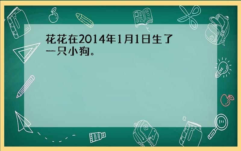 花花在2014年1月1日生了一只小狗。