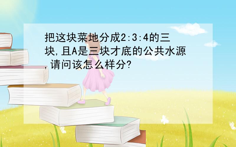 把这块菜地分成2:3:4的三块,且A是三块才底的公共水源,请问该怎么样分?