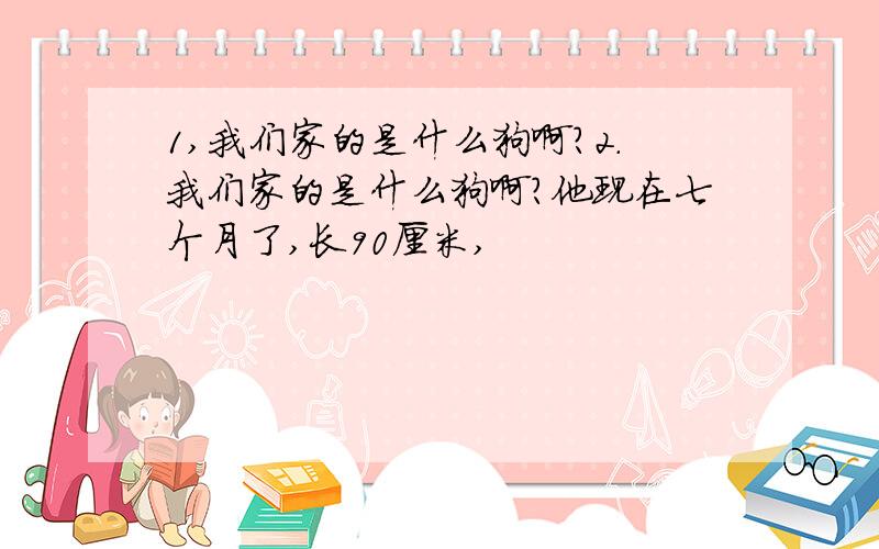 1,我们家的是什么狗啊?2.我们家的是什么狗啊?他现在七个月了,长90厘米,