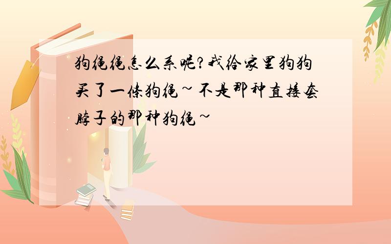 狗绳绳怎么系呢?我给家里狗狗买了一条狗绳~不是那种直接套脖子的那种狗绳~