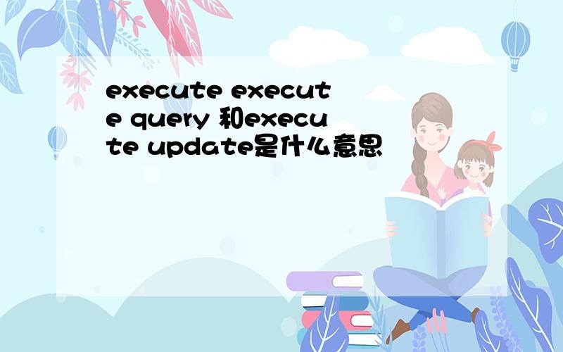 execute execute query 和execute update是什么意思