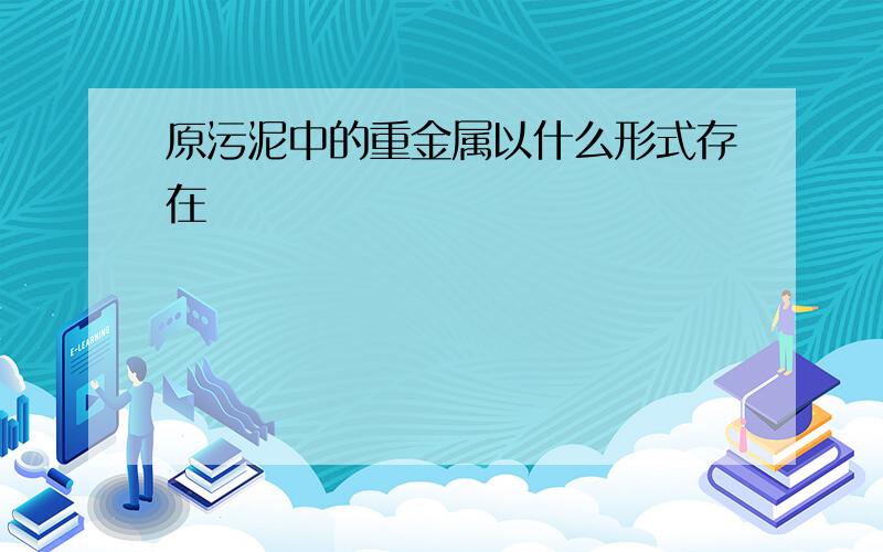 原污泥中的重金属以什么形式存在