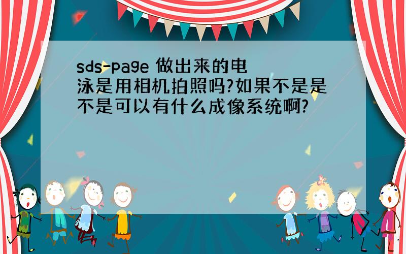 sds-page 做出来的电泳是用相机拍照吗?如果不是是不是可以有什么成像系统啊?