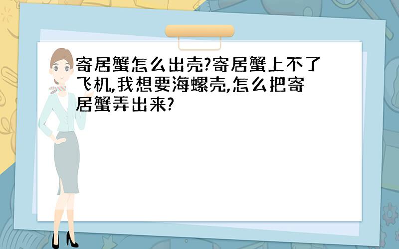 寄居蟹怎么出壳?寄居蟹上不了飞机,我想要海螺壳,怎么把寄居蟹弄出来?