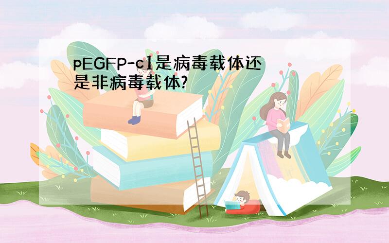 pEGFP-c1是病毒载体还是非病毒载体?