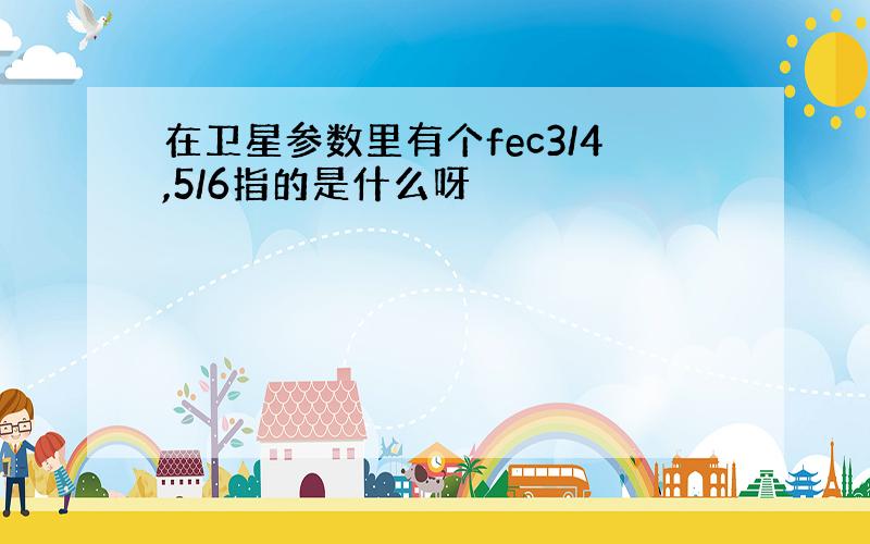 在卫星参数里有个fec3/4,5/6指的是什么呀