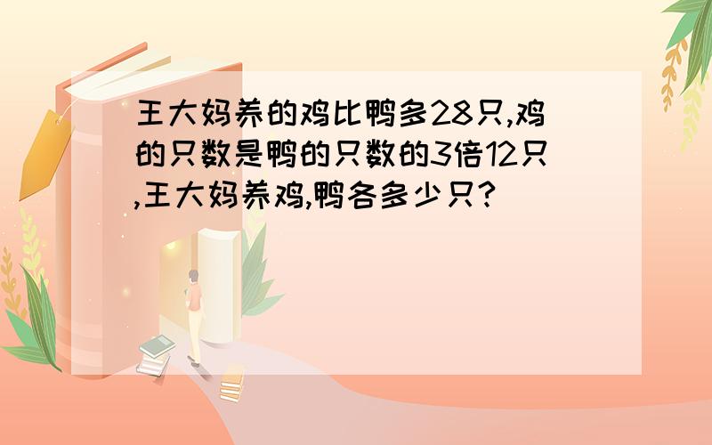 王大妈养的鸡比鸭多28只,鸡的只数是鸭的只数的3倍12只,王大妈养鸡,鸭各多少只?