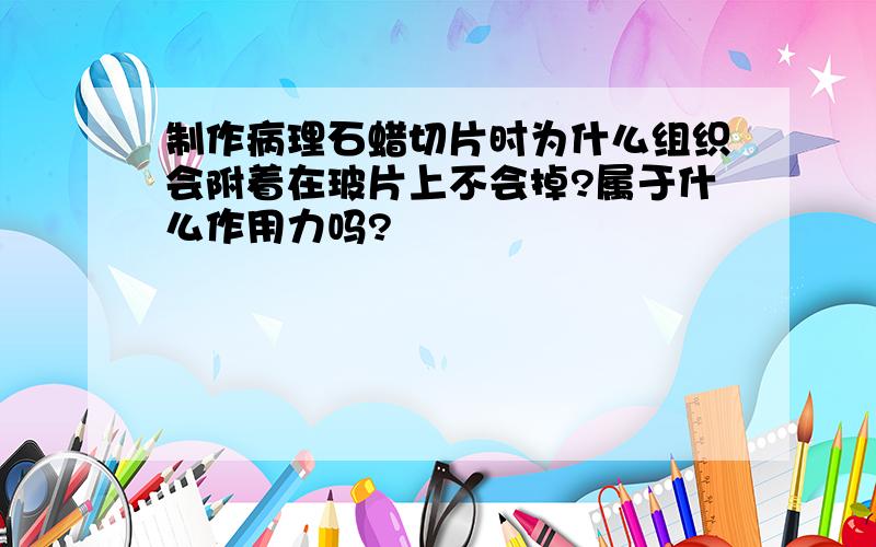 制作病理石蜡切片时为什么组织会附着在玻片上不会掉?属于什么作用力吗?