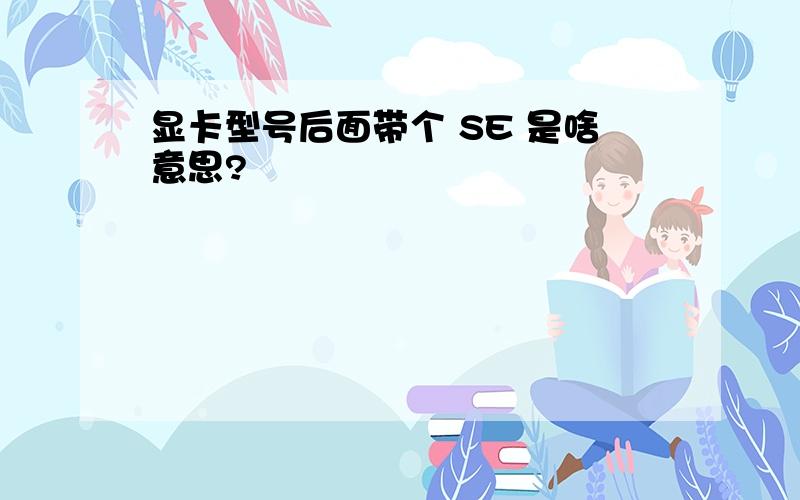 显卡型号后面带个 SE 是啥意思?