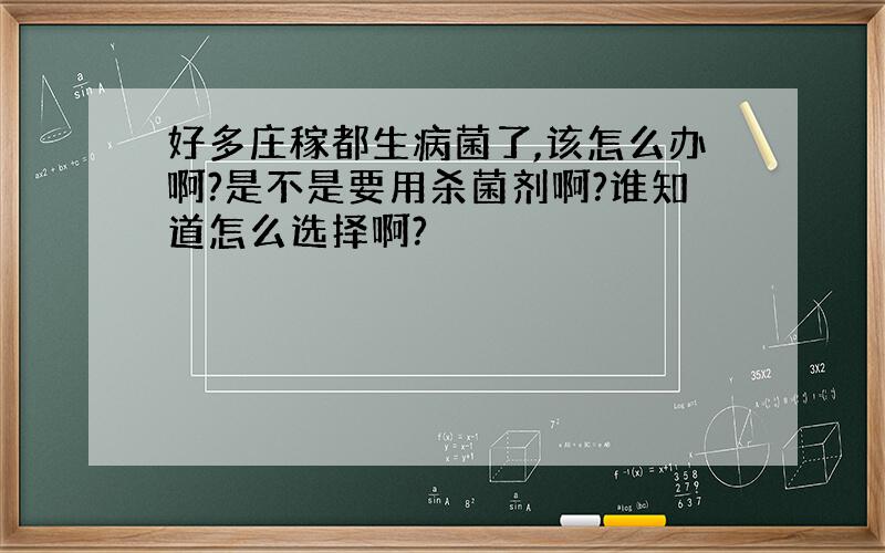 好多庄稼都生病菌了,该怎么办啊?是不是要用杀菌剂啊?谁知道怎么选择啊?