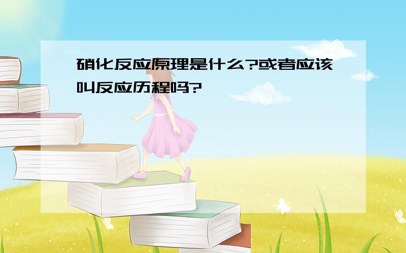 硝化反应原理是什么?或者应该叫反应历程吗?