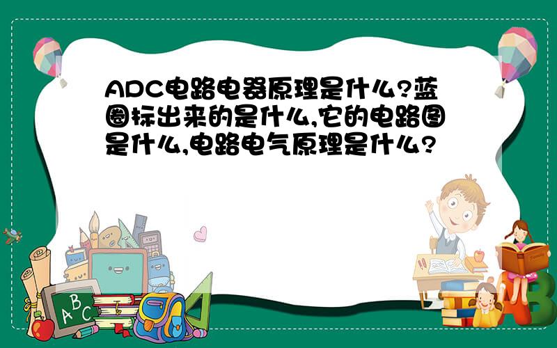 ADC电路电器原理是什么?蓝圈标出来的是什么,它的电路图是什么,电路电气原理是什么?