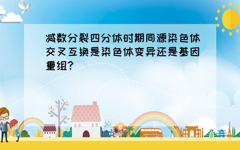 减数分裂四分体时期同源染色体交叉互换是染色体变异还是基因重组?