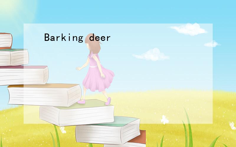 Barking deer