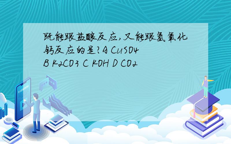 既能跟盐酸反应,又能跟氢氧化钙反应的是?A CuSO4 B K2CO3 C KOH D CO2