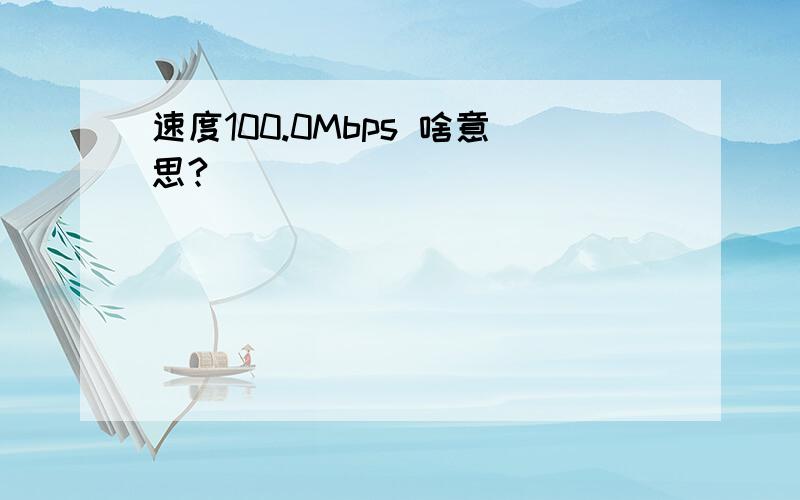 速度100.0Mbps 啥意思?