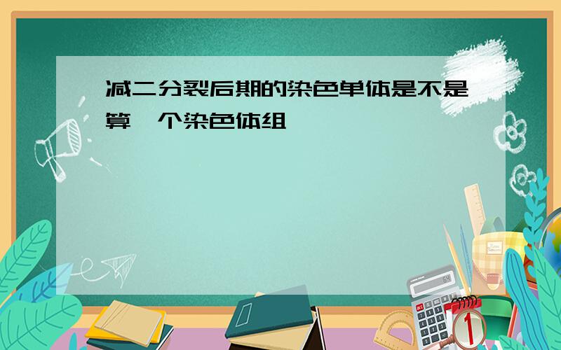 减二分裂后期的染色单体是不是算一个染色体组