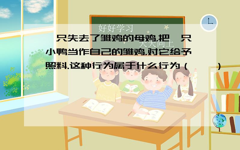 一只失去了雏鸡的母鸡，把一只小鸭当作自己的雏鸡，对它给予照料.这种行为属于什么行为（　　）