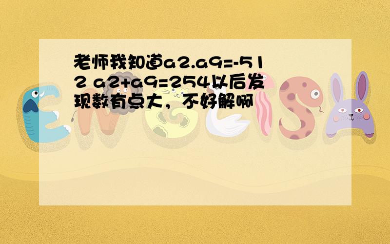 老师我知道a2.a9=-512 a2+a9=254以后发现数有点大，不好解啊