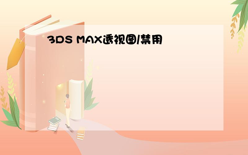 3DS MAX透视图/禁用