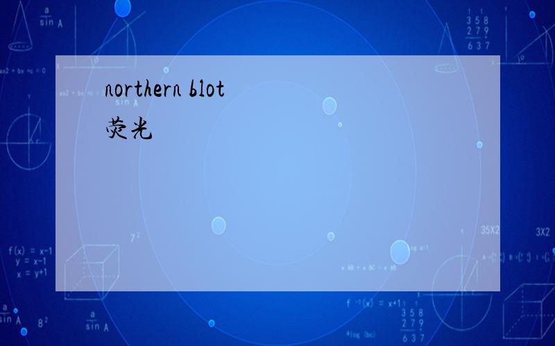 northern blot 荧光