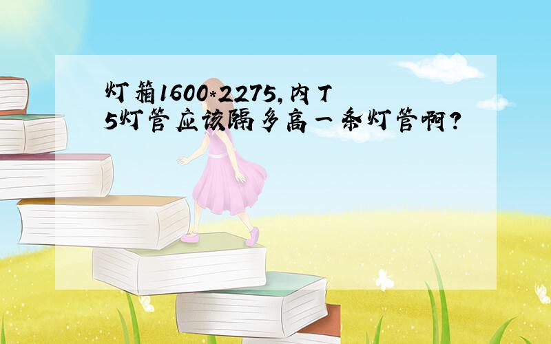 灯箱1600*2275,内T5灯管应该隔多高一条灯管啊?