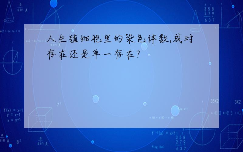 人生殖细胞里的染色体数,成对存在还是单一存在?