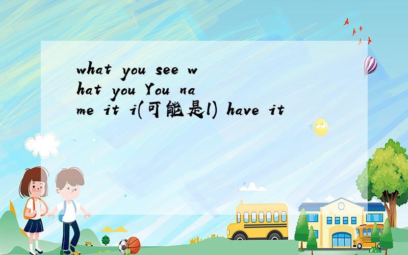 what you see what you You name it i(可能是l) have it