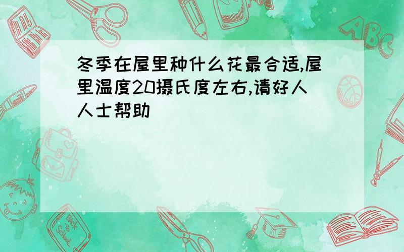 冬季在屋里种什么花最合适,屋里温度20摄氏度左右,请好人人士帮助