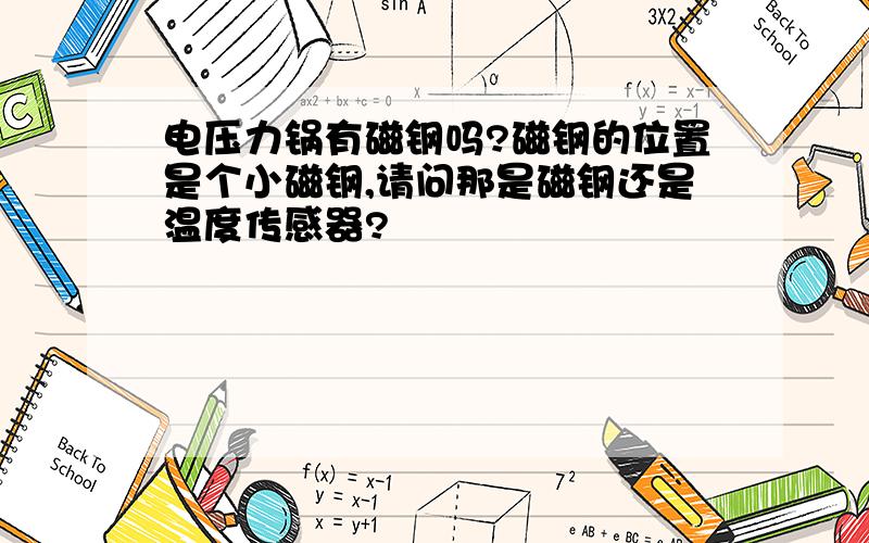 电压力锅有磁钢吗?磁钢的位置是个小磁钢,请问那是磁钢还是温度传感器?