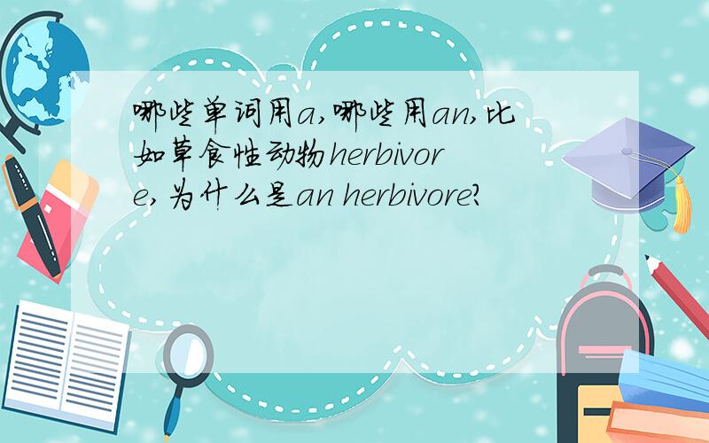 哪些单词用a,哪些用an,比如草食性动物herbivore,为什么是an herbivore?