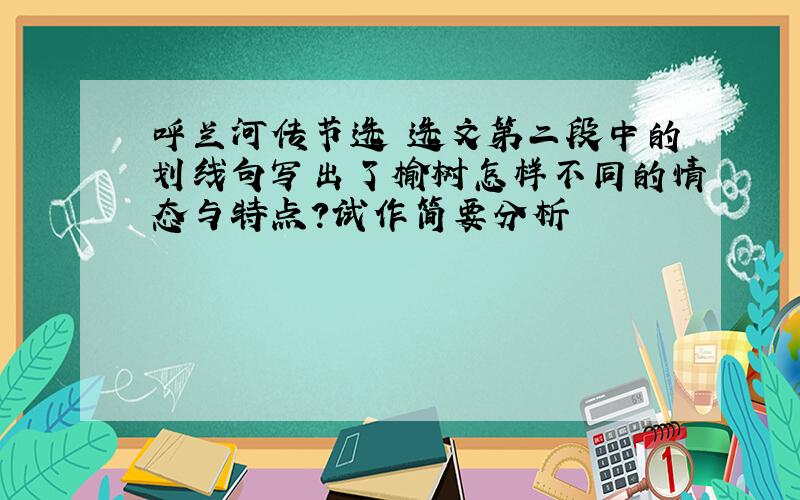 呼兰河传节选 选文第二段中的划线句写出了榆树怎样不同的情态与特点?试作简要分析