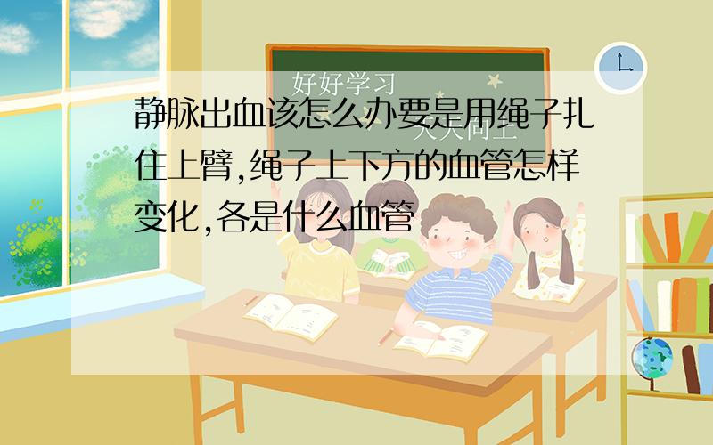 静脉出血该怎么办要是用绳子扎住上臂,绳子上下方的血管怎样变化,各是什么血管