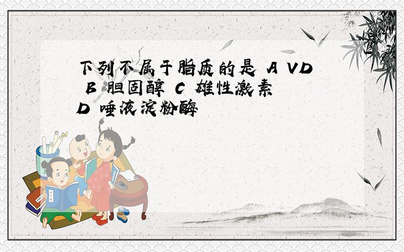 下列不属于脂质的是 A VD B 胆固醇 C 雄性激素 D 唾液淀粉酶