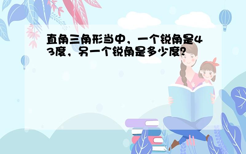 直角三角形当中，一个锐角是43度，另一个锐角是多少度？