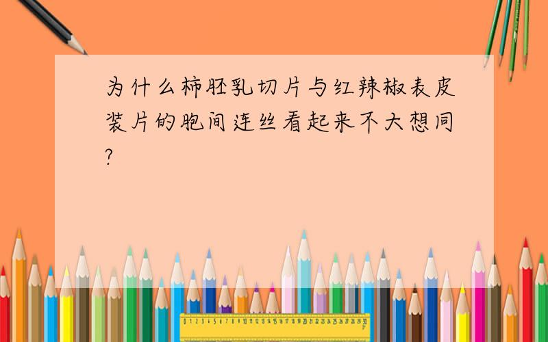 为什么柿胚乳切片与红辣椒表皮装片的胞间连丝看起来不大想同?