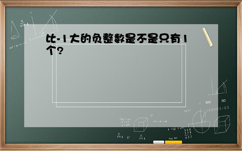 比-1大的负整数是不是只有1个?