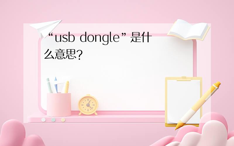 “usb dongle”是什么意思?