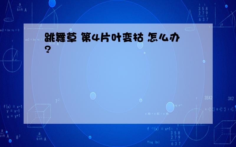 跳舞草 第4片叶变枯 怎么办?