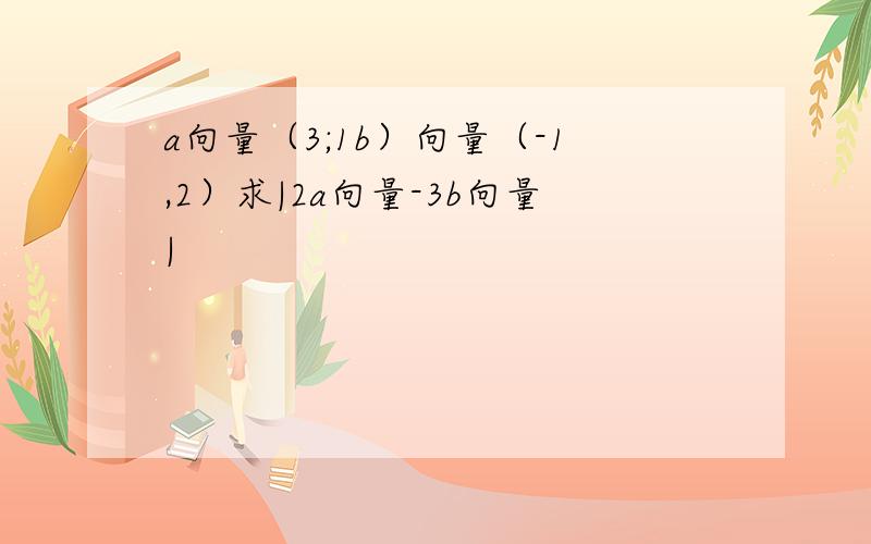 a向量（3;1b）向量（-1,2）求|2a向量-3b向量|