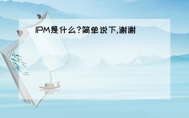 IPM是什么?简单说下,谢谢