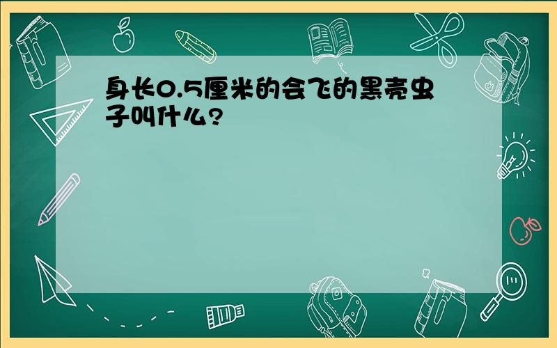 身长0.5厘米的会飞的黑壳虫子叫什么?